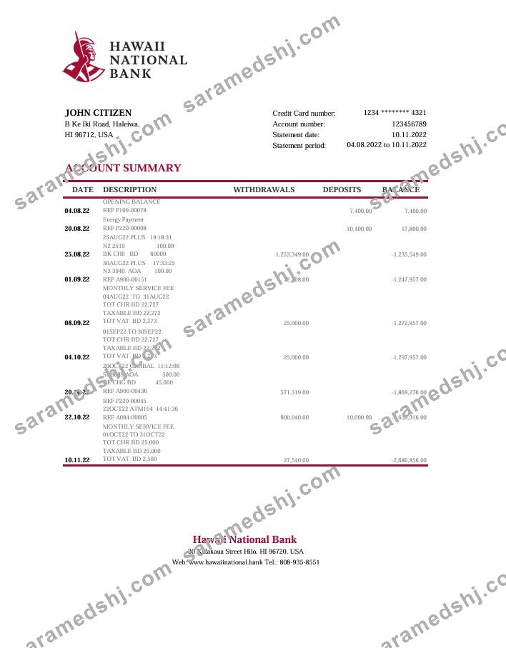 Hawaii National Bank statement Excel and PDF template